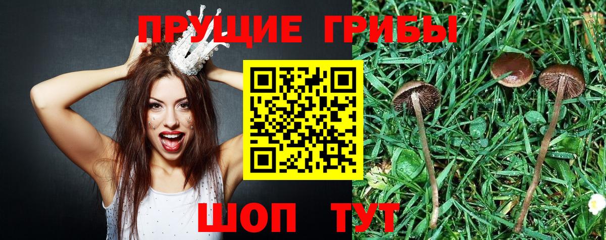 Галлюциногенные грибы ЛСД  Вход с VPN  Псилоцибиновые грибы Cubensis  Татарск 