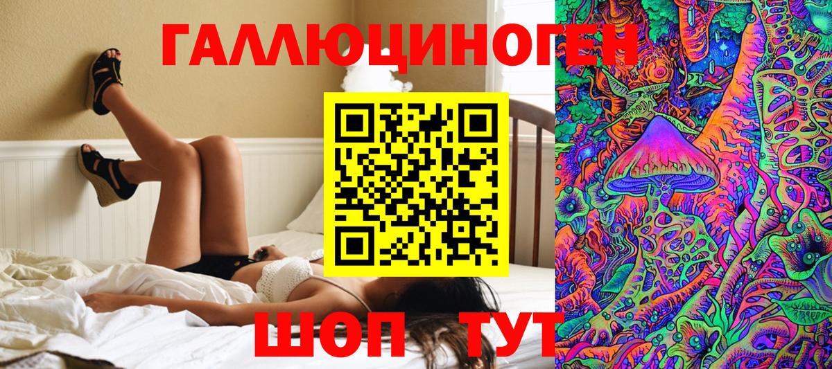 Псилоцибиновые грибы Psilocybe Татарск